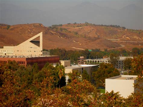 The College partners with its stakeholders to develop individuals with the knowledge and skills to be successful and to contribute in a dynamic. . Cal poly pomona